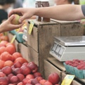 Fruit and veg market stall